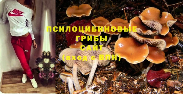 каннабис Алзамай