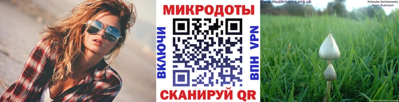 это какой сайт  Беслан  Галлюциногенные грибы Psilocybine cubensis  купить  цена 