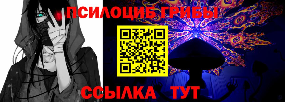 Псилоцибиновые грибы Psilocybine cubensis  Вход с VPN  Беслан  Галлюциногенные грибы прущие грибы 